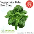 Vegeponics Pesticide-Free Baby Bok Choy