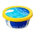 Kochi Ice Ten Pi En Sea Salt Gelato Japanese Ice Cream Cup