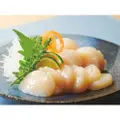 Maruha Nichiro Japanese Sashimi Scallop Frozen 3S