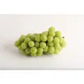 Korea Premium Shine Muscat Grapes