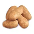 Idaho Russet Potato