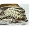 Catch Seafood Jumbo Tiger Prawn