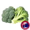 Gold Australian Broccoli