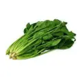 China Spinach