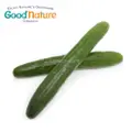 Good Nature Organic Japanese Cucumber