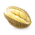 Xiaosan Black Gold Durian