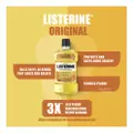 Listerine Mouthwash - Original