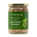 Clearspring Organic Young Jackfruit Chunks