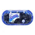 Fresh Corindi Australia Blueberries