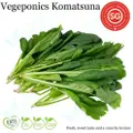 Vegeponics Pesticide-Free Komatsuna