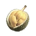 Durian Superman Xo Durian
