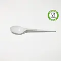 Grace Disposable Plastic White Plastic Spoon