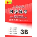 Casco Secondary Chinese Practice Papers 3B