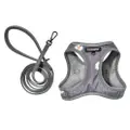 Dogness Dog Harness With Leash (Dark.Grey)(Small)