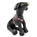 Trustie Dog Harness-Heart (Pink)(10Mmx25-35Cm)