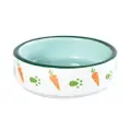 Trustie Small Animal Feeding Bowl- Round Dish (Green)