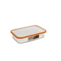Omada Sanaliving 1L Flat Antibacterial Container - Orange