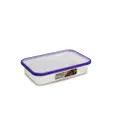 Omada Sanaliving 1L Flat Antibacterial Container - Purple