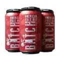 Batch American Pale Ale (Craft Beer)