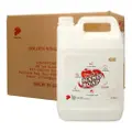 Gw Anti-Bacterial Hand Soap Carton - Apple