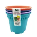 Baba Baba 4Pcs Soffy Collection Pot 120Mm (Mix Colours)