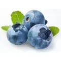 Ab Jumbo Blueberry