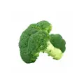 Smart Knife Fresh Broccoli