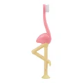 Dr. Brown?S Baby And Toddler Toothbrush - Flamingo