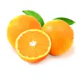 Global Seasons Egypt Valencia Orange 3'S Pkt