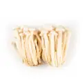 Korea White Beech Mushroom