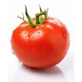 Smart Knife Fresh Tomato