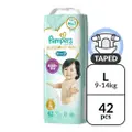 Pampers Premium Baby Diaper Tape L