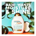Ogx Shampoo - Quenching+ Coconut Curls