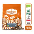 Foodsterr Organic Dark Chocolate Hazelnut Granola