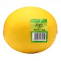 Sun Melon - Large