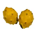 Yuan Zhen Yuan Yellow Dragonfruit