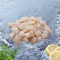Seaco Frozen Bay Scallop Meat