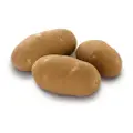 Usa Russet Potato Large
