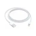 Apple Lightning To Usb Cable (1M)