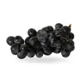 Xiaosan Australia Black Seedless Grape