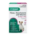 Aristopet Spot On Fleas Heartworms Worms For Dogs 4-10Kg
