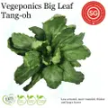 Vegeponics Big Leaf Tang Oh