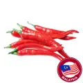 Pasar Red Chili