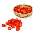 Pasar Cherry Tomato