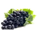 Global Seasons Black Seedless Grape 500Gm