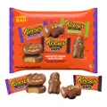 Reese Peanut Butter Chocolate Jumbo Bag - Pumpkin Ghosts Bats
