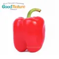 Good Nature Organic Red Capsicum