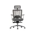 เก้าอี้เพื่อสุขภาพ Ergotrend ERGO-X Ergonomic Chair Grey