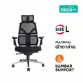 เก้าอี้เพื่อสุขภาพ Ergotrend Malmo Ergonomic Chair