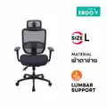 เก้าอี้เพื่อสุขภาพ Ergotrend Ergo Joy Plus Ergonomic Chair